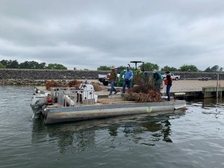 SJRA staff loading trees onto the boats